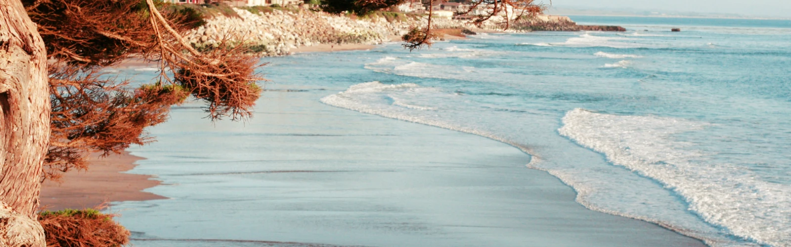 Discover Santa Cruz: A Complete Travel Guide for First-Time Visitors