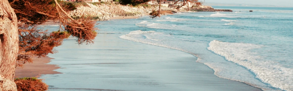 Top Things to Do in Santa Cruz: Beaches, Boardwalks & Local Gems