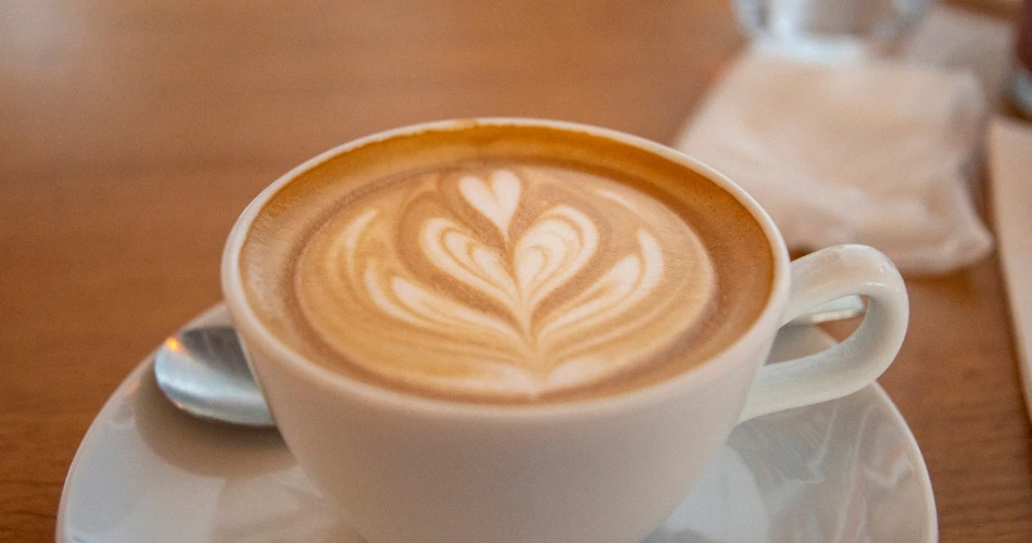 Panduan Makanan Santa Cruz. Restoran Terbaik, Kafe & Makanan Pesisir