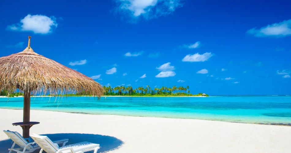 Best Beaches in Santa Cruz: Where to Swim, Surf, and Relax