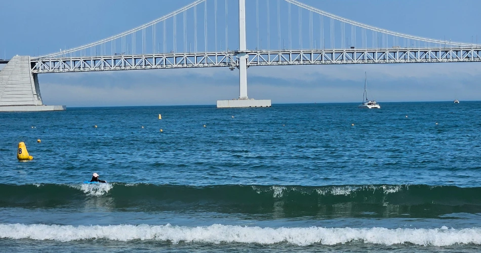 Best Beaches in Santa Cruz: Where to Swim, Surf, and Relax