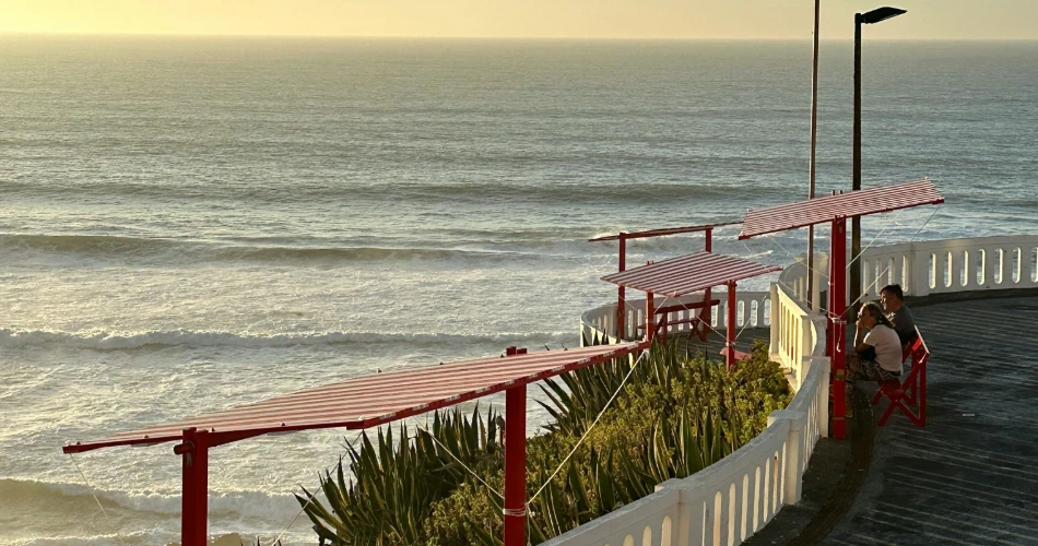 Top Things to Do in Santa Cruz: Beaches, Boardwalks & Local Gems