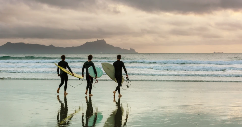 Top Things to Do in Santa Cruz: Beaches, Boardwalks & Local Gems