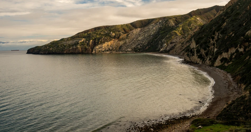 Top Things to Do in Santa Cruz: Beaches, Boardwalks & Local Gems